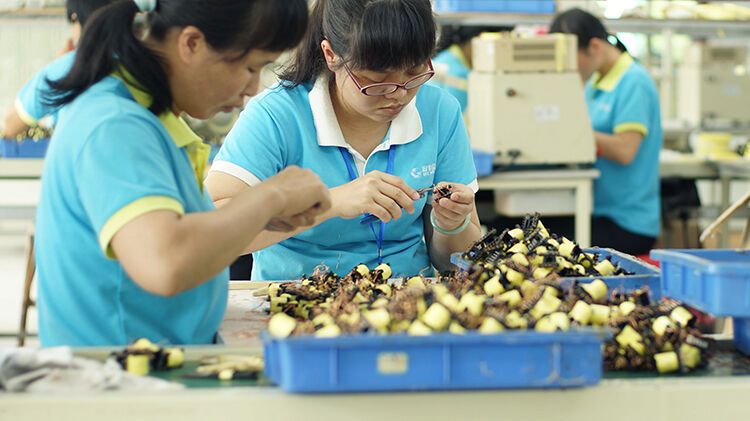 Foshan Fenghua Furniture Co., Ltd.